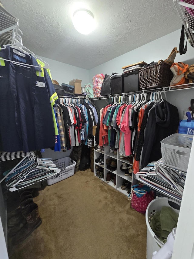 318 Elbrus Way, Grovetown, GA 30813 - spacious closet featuring carpet