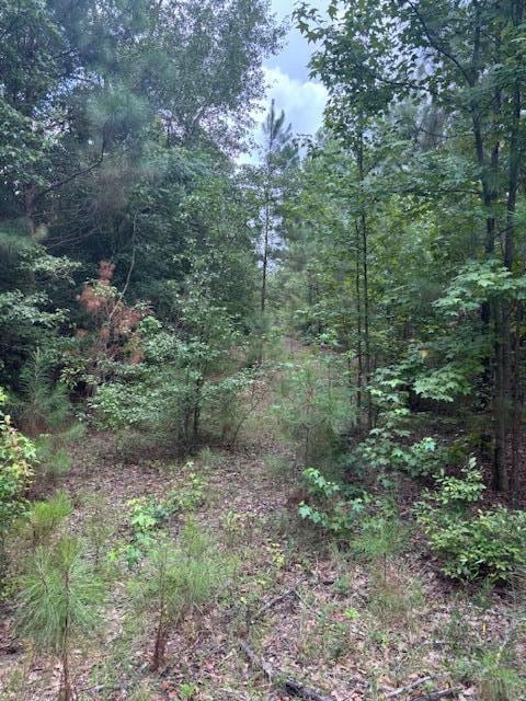 1912 Pine Hollow Dr, Augusta, GA 30906 - photo 2