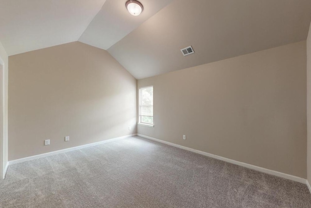 1217 Berkley Hills Pass, Evans, GA 30809 - additional living space with carpet flooring, vaulted ceiling, and baseboards