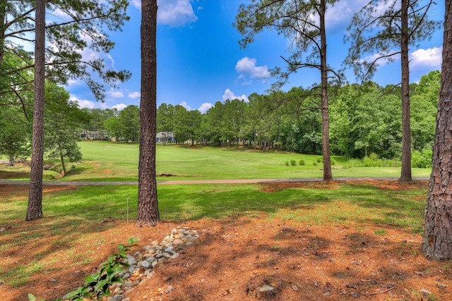 120 Arbor Ln, Mccormick, SC 29835 - photo 27