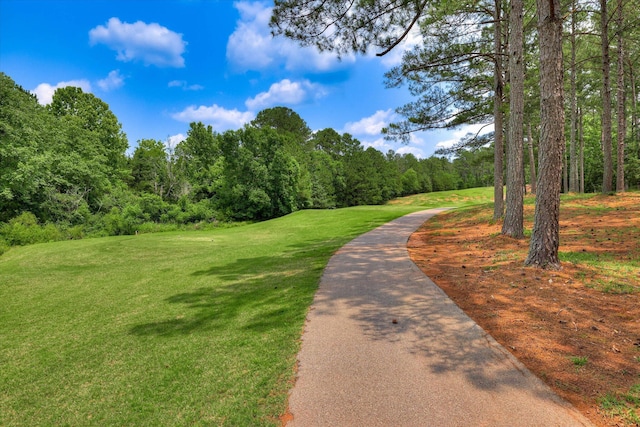 120 Arbor Ln, Mccormick, SC 29835 - photo 28
