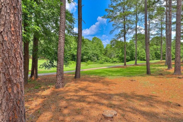120 Arbor Ln, Mccormick, SC 29835 - photo 25