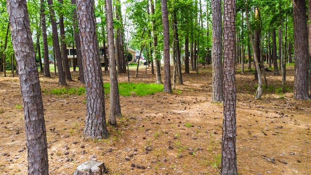 148 Grandview Dr, Mccormick, SC 29835 - view of yard