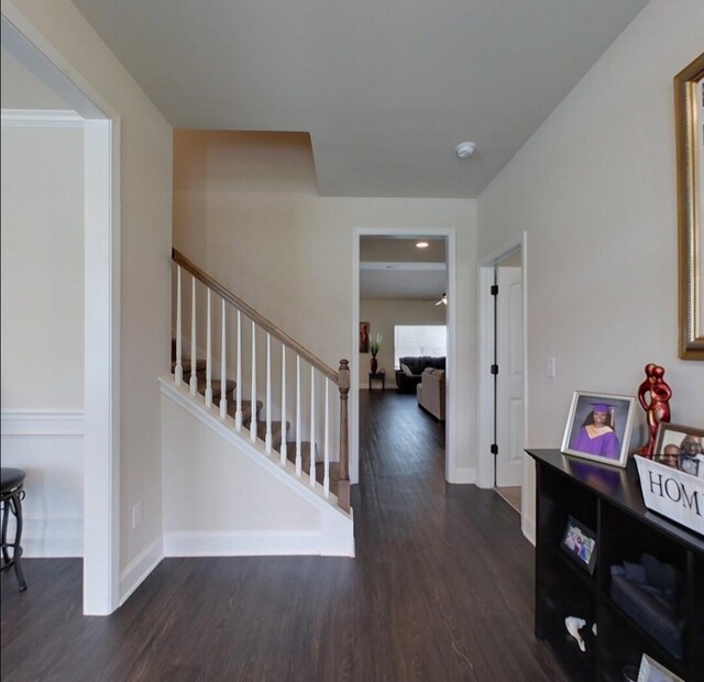 71 Murrah Road Ext, North Augusta, SC 29860 - photo 12
