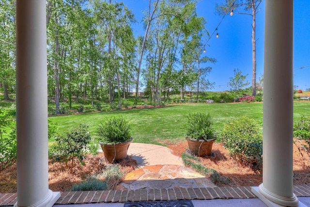 112 Robbie Ct, Evans, GA 30809 - photo 61