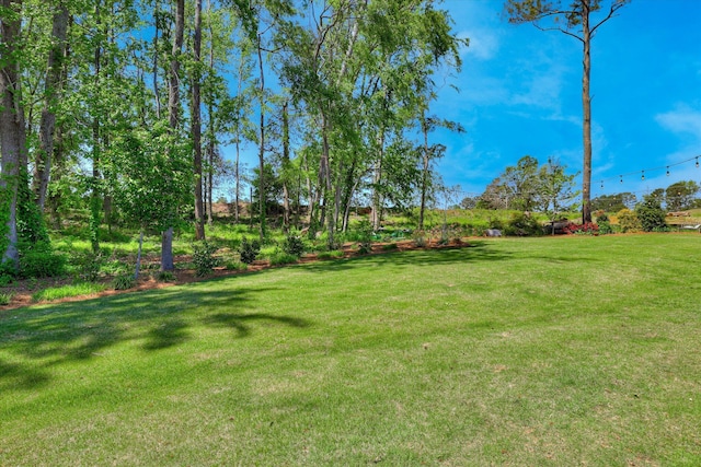 112 Robbie Ct, Evans, GA 30809 - photo 62