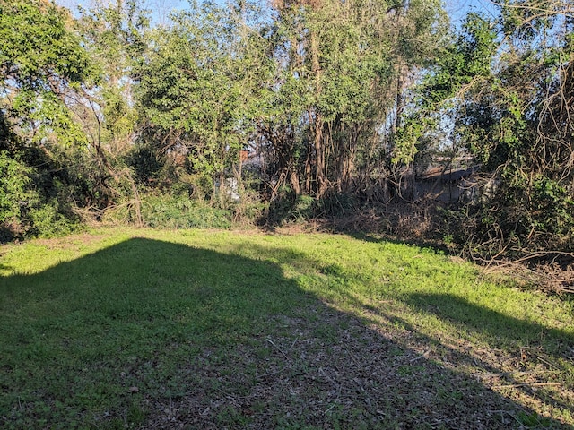 1316 Druid Park Ave, Augusta, GA 30904 - view of grassy yard
