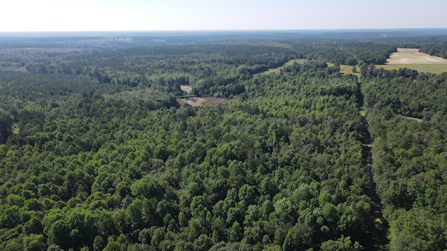 0 Eley Rd, Gibson, GA 30810 - photo 5
