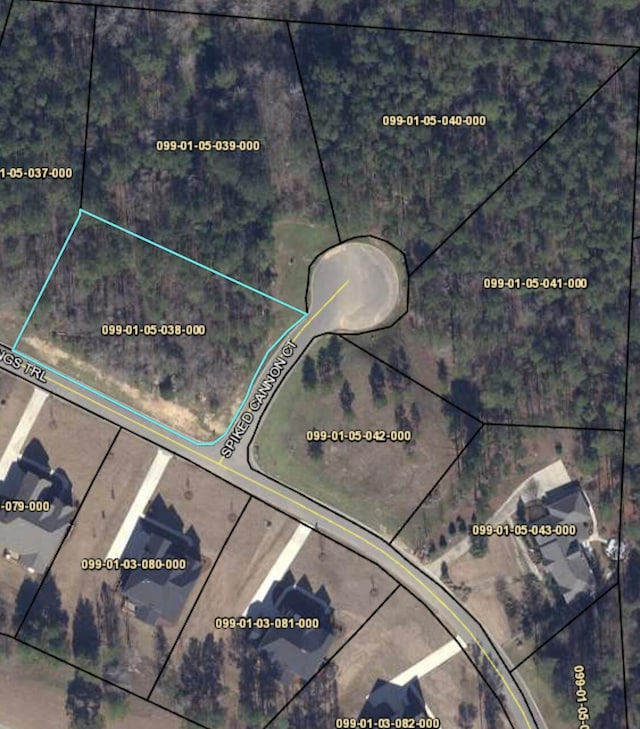 LOTP-38 Eutaw Springs Trl, North Augusta, SC 29860 - photo 4