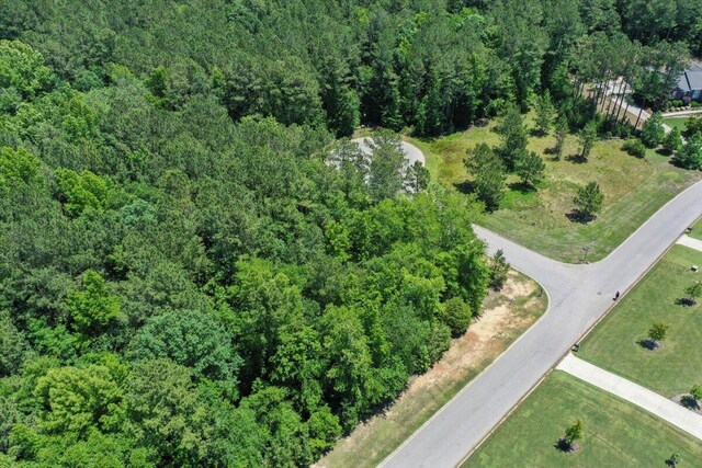 LOTP-38 Eutaw Springs Trl, North Augusta, SC 29860 - photo 6