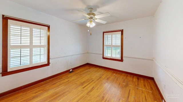 966 Belvedere Clearwater Rd, North Augusta, SC 29841 - photo 19
