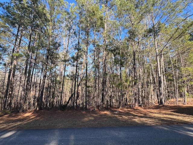 24-17 Madison Dr, Mccormick SC, 29835 land for sale