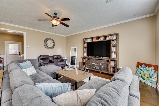 5558 Connor Dr, Evans, GA 30809 - living room featuring wood finished floors, a ceiling fan, and ornamental molding