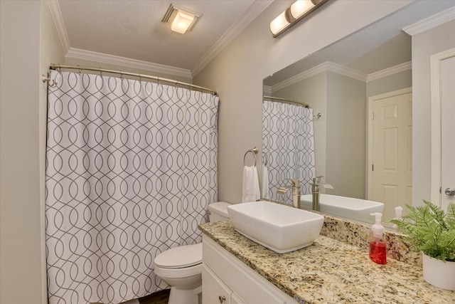 315 Coastal Cv, Mccormick, SC 29835 - full bath featuring toilet, vanity, ornamental molding, and a shower with shower curtain