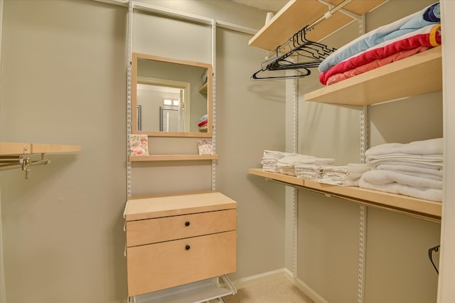 315 Coastal Cv, Mccormick, SC 29835 - view of walk in closet