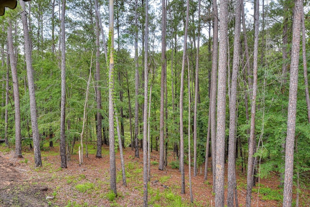 315 Coastal Cv, Mccormick, SC 29835 - view of woods