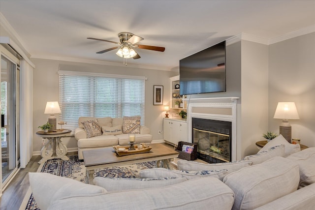 315 Coastal Cv, Mccormick, SC 29835 - living room with ceiling fan, wood finished floors, crown molding, a glass covered fireplace, and baseboards