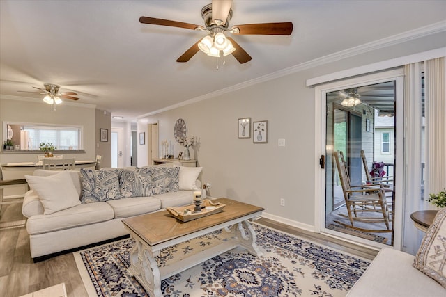 315 Coastal Cv, Mccormick, SC 29835 - living room featuring a ceiling fan, wood finished floors, ornamental molding, and baseboards