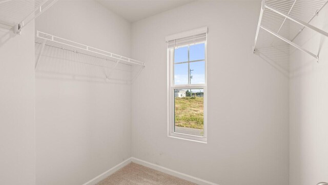 1026 Quaint Parish Cir, Graniteville, SC 29829 - photo 18