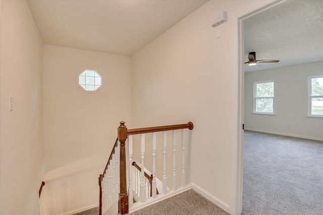 313 Fair Oaks Ct, Martinez, GA 30907 - photo 26