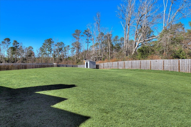 view of yard with a storage unit