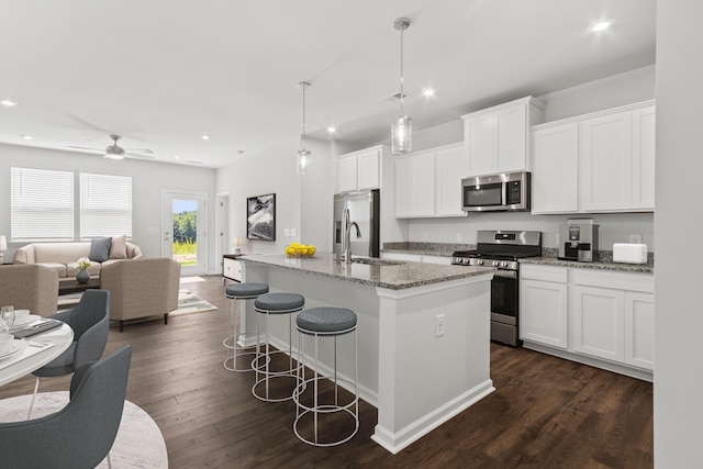 796 Count Fleet Ct, Graniteville, SC 29829 - kitchen featuring stainless steel appliances, open floor plan, recessed lighting, an island with sink, and dark wood finished floors