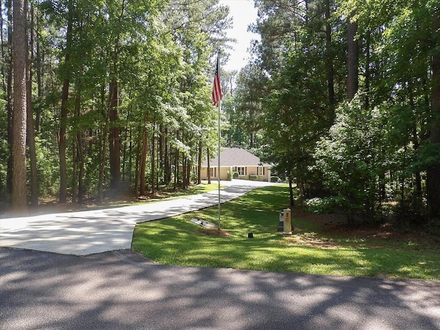 view of property's community featuring a yard