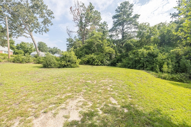 2217 Montclair St, Augusta, GA 30904 - view of grassy yard