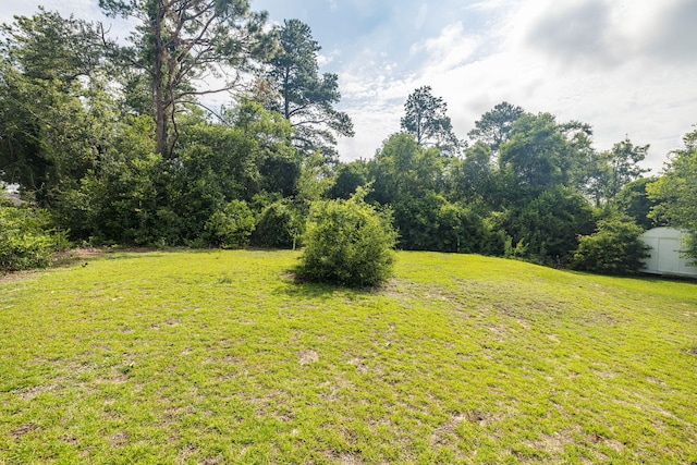 2217 Montclair St, Augusta, GA 30904 - view of green lawn