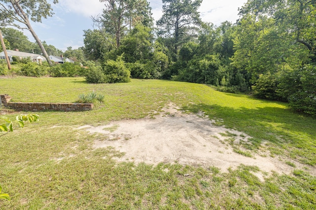 2217 Montclair St, Augusta, GA 30904 - view of green lawn