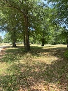 1029 Horseshoe Rd Unit B, Augusta, GA 30906