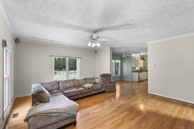 581 Old Tory Trl, Aiken, SC 29801 - photo 25