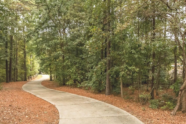 156 Millwood Ln, North Augusta, SC 29860 - photo 51