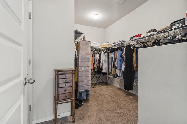 5315 Bull St, Augusta, GA 30909 - spacious closet with carpet