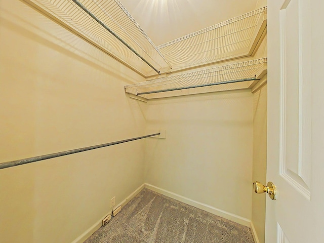 4373 Quail Creek Rd, Martinez, GA 30907 - spacious closet featuring carpet flooring