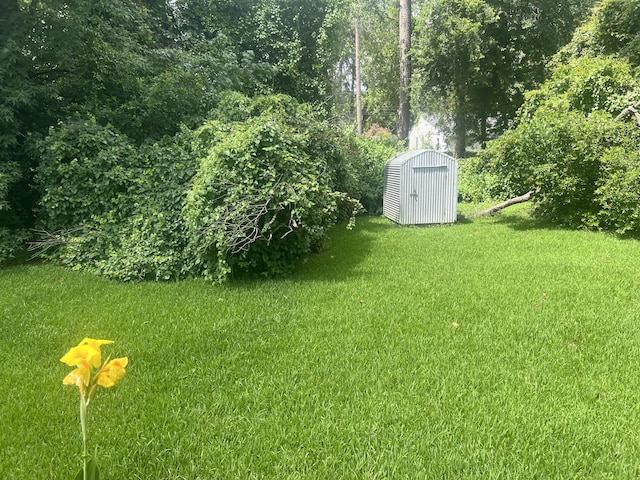 824 Ann St, Augusta, GA 30904 - view of grassy yard with a storage shed