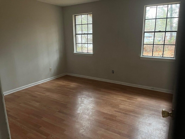 spare room featuring a healthy amount of sunlight and hardwood / wood-style flooring