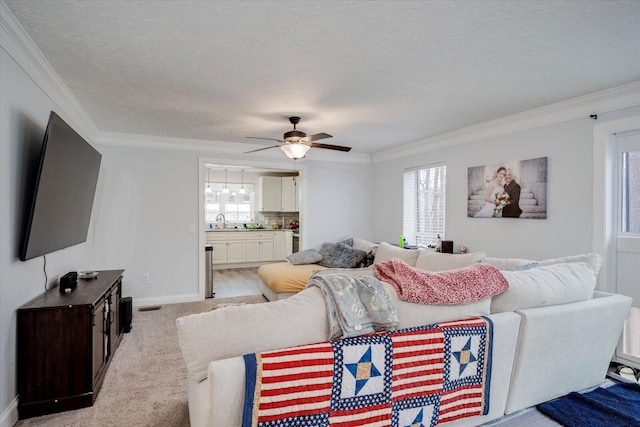 carpeted living room with crown molding, sink, ceiling fan, and a textured ceiling