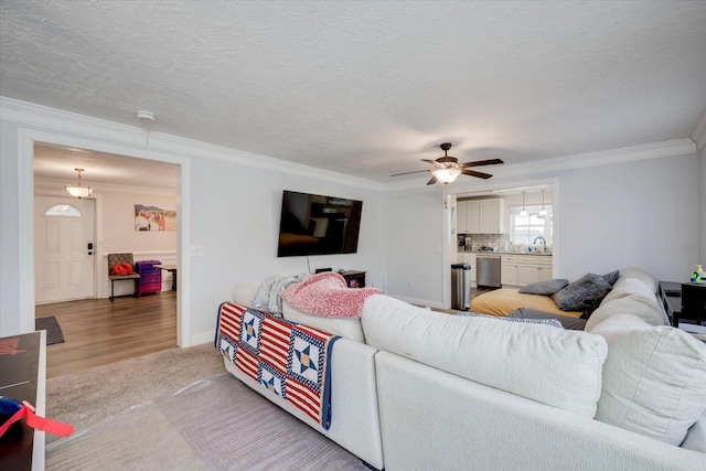 living room with sink, ceiling fan, ornamental molding, a textured ceiling, and light colored carpet