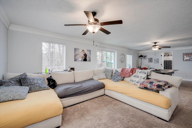 carpeted living room featuring ceiling fan, ornamental molding, and a textured ceiling