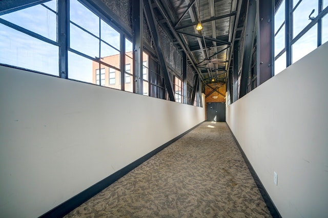 hallway with carpet and a high ceiling