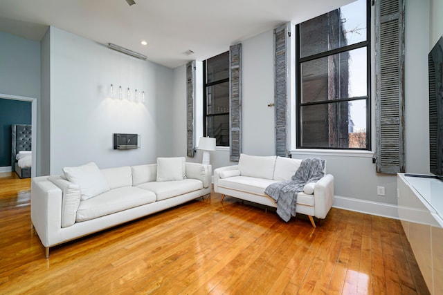 living room with wood-type flooring