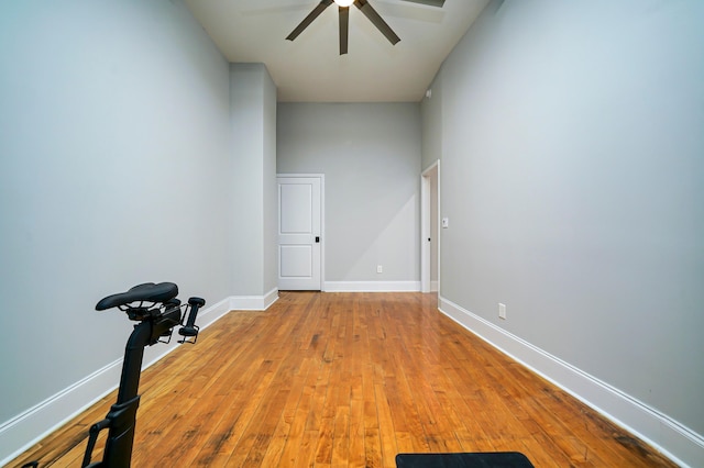 unfurnished room with ceiling fan and light hardwood / wood-style floors