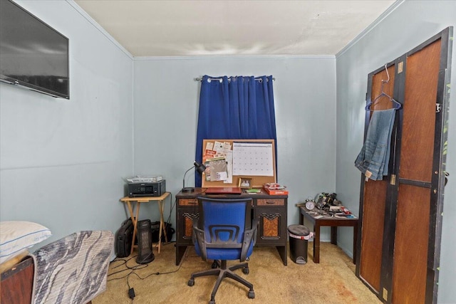 carpeted office space featuring ornamental molding