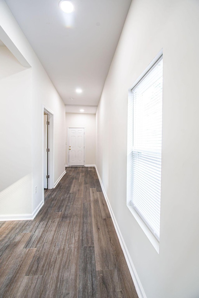 corridor featuring plenty of natural light and dark hardwood / wood-style floors