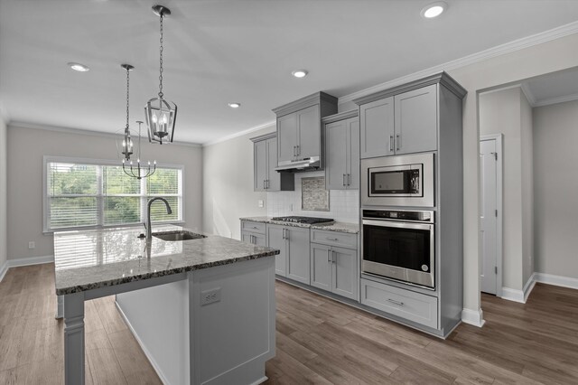647 Bunchgrass St, Evans, GA 30809 - kitchen with stainless steel appliances, a sink, gray cabinetry, ornamental molding, and light stone counters