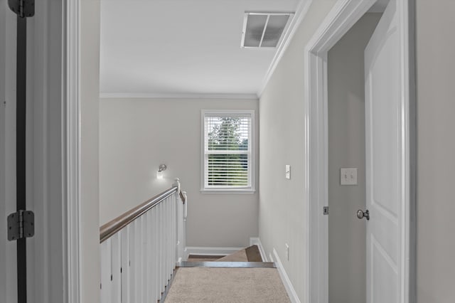 647 Bunchgrass St, Evans, GA 30809 - corridor featuring crown molding, baseboards, and an upstairs landing