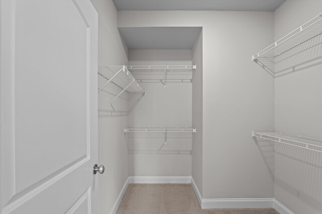 647 Bunchgrass St, Evans, GA 30809 - view of walk in closet