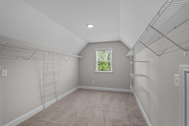 647 Bunchgrass St, Evans, GA 30809 - walk in closet featuring lofted ceiling and carpet