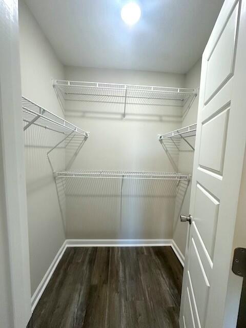 walk in closet with dark wood-type flooring
